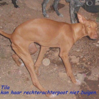 tila c3 2655-326-12